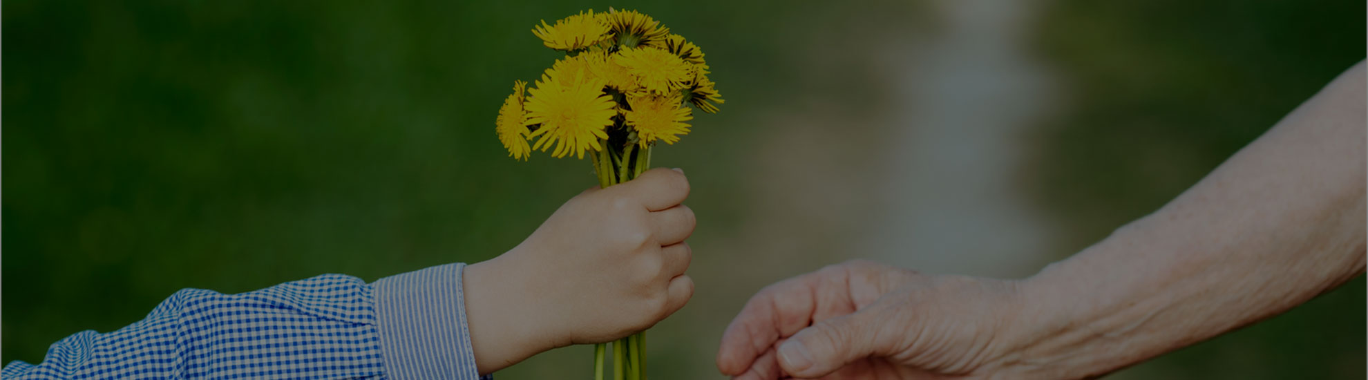 Attività per il sociale